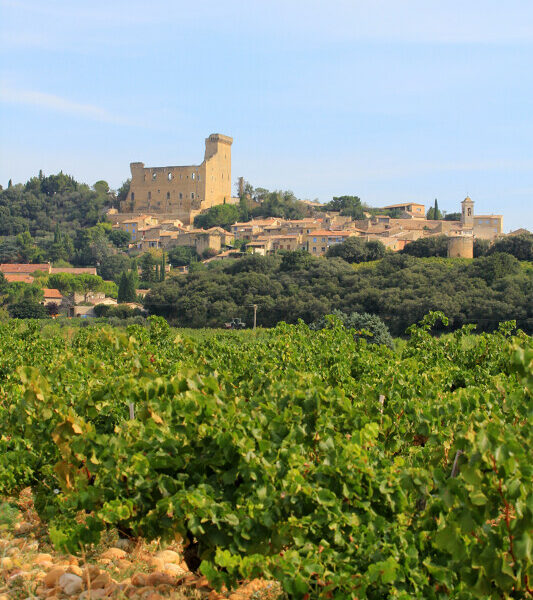 chateauneuf du pape visiter vaucluse village